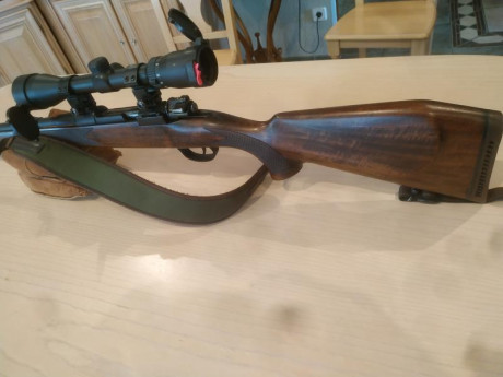 Rifle en muy buen estado 
Calibre 3006
De cerrojo 
Fabrica austríaca 
Visor Bushnell 
Montura rápida 
Más 02