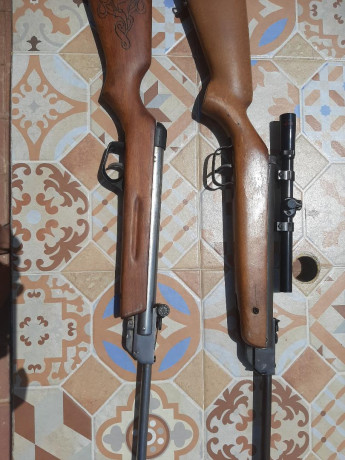Vendo estas dos carabinas. Una es una Gamo Expo y la otra una Norica modelo 61. Las dos son del 4.5  Evidentemente 02