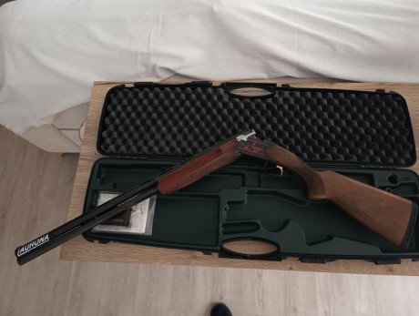 LAURONA 92 IMPECABLE!!
Cañón de 74 cm
1 gatillo
Expulsora
Selectiva
Cañón con polichock
5 boquillas
Incluye 00