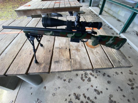 Hola,saco este nuevo tema,pues como yo,muchos de vosotros,amantes de las armas de corte tactico del 22,customizais,vestis,adornais 61
