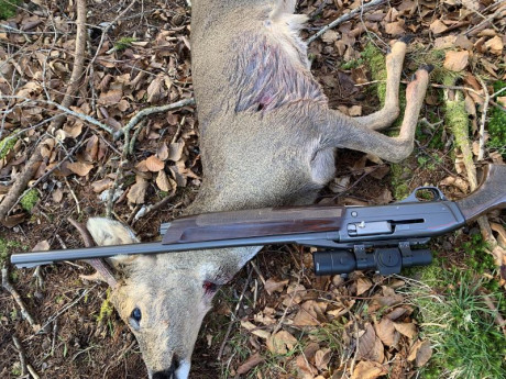 Hola a todos, estaba pensando en comprar el combo sx3 de winchester, con cañón estriado y cañón liso, 170