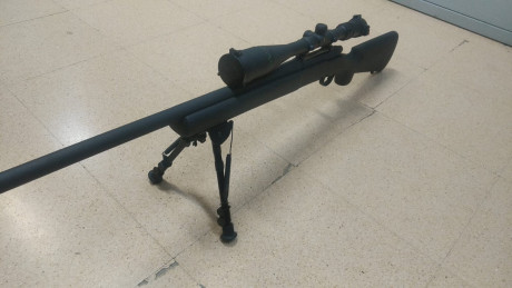 Vendo remington 700 Police 308 win.en perfecto estado casi sin uso, con visor bushnell 4200 elite 6-24x-40. 02