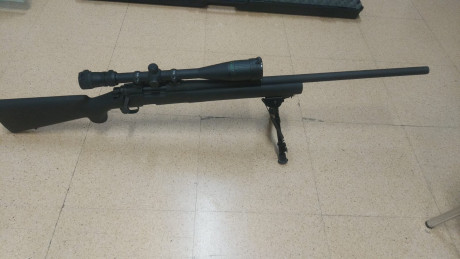 Vendo remington 700 Police 308 win.en perfecto estado casi sin uso, con visor bushnell 4200 elite 6-24x-40. 01