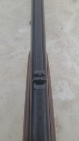 Vendo un billing Blaser del cal. 243 y 12 de escopeta. Está en óptimas condiciones tanto de ajuste,  pavón 00