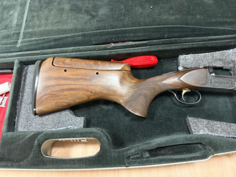 PONGO A LA VENTA PERAZZI MX2000/8 CON BANDAS 2008 2005 Y 2003 .CHOKE PERAZZI CAÑON INFERIOR Y 10 DECIMAS 12