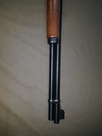 Vendo Marlin 1894 en cal 44 RM como nuevo (60 tiros) por no darle ningun uso lo vendo por 800€.
Saludos. 61