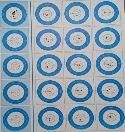 Vendo Walther KK 5OO. 
Cañón seleccionado. 
Muy precisa a 50m, 100m y 200m. (incluyo carril de 20moas, 10