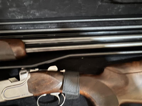 Hola se cede Beretta dt11 muy poco usada por financiar otro proyecto
El arma está en Madrid
5500 11