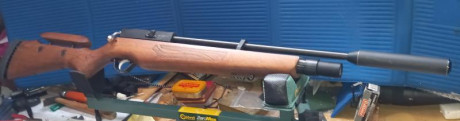 Hola, Prácticamente nuevas, apenas usadas por lesión.
Hatsan Factor 250€
Cometa Orión 200€
No envío. Están 01