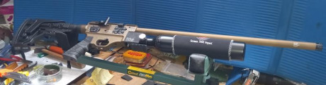 Hola, Prácticamente nuevas, apenas usadas por lesión.
Hatsan Factor 250€
Cometa Orión 200€
No envío. Están 00