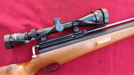 Un amigo vende

 Carabina Aire PCP LOGUN AXSOR cal. 5.5  con visor Weirauch 3-9x40 


Precio: 500 euros

NO 00