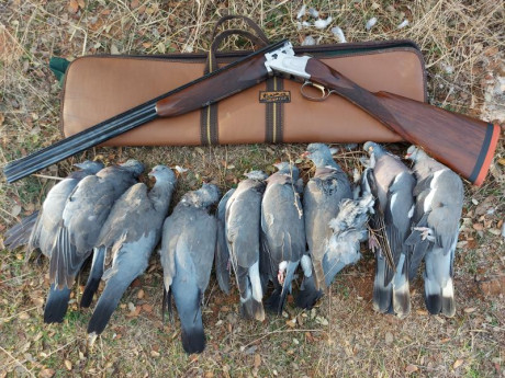 Por motivos de salud, vendo browning 325 del calibre 20, importada de Italia por armeria Mur, con culata 90