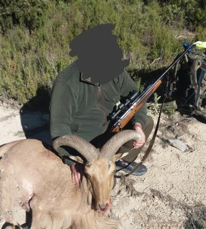 Buenos días tropa.
Sigo vaciando el armero.
Pongo a la venta el que ha sido uno de mis rifles preferidos 60