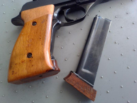Cachas ambidiestro o para Zurdo y 1 cargador de la pistola Astra ts22 valido para el modelo constable 01