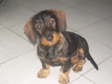 Después de lo de ayer y no encantrar mi primera pieza perdida, aunque se que sta allí y el tufo la delatara, 30