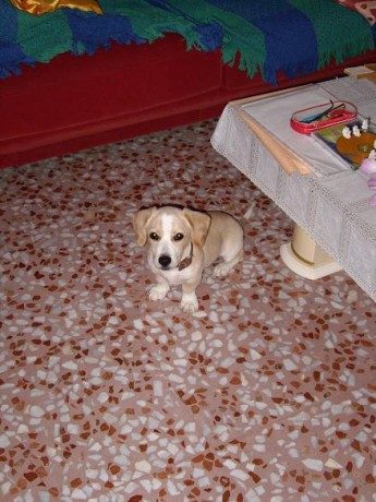 Después de lo de ayer y no encantrar mi primera pieza perdida, aunque se que sta allí y el tufo la delatara, 80