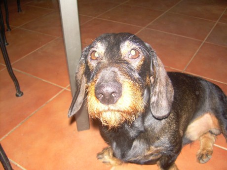 Después de lo de ayer y no encantrar mi primera pieza perdida, aunque se que sta allí y el tufo la delatara, 00
