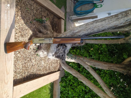  Buenas tardes

Pongo en venta una escopeta Browning modelo A5 Ultimate Partridges

Cañón de 71 cm
Calibre 01