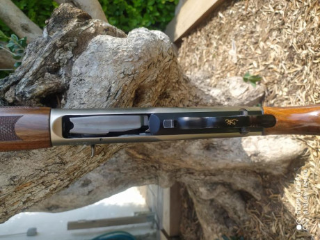  Buenas tardes

Pongo en venta una escopeta Browning modelo A5 Ultimate Partridges

Cañón de 71 cm
Calibre 12