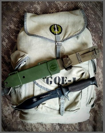 Busco cuchillos de monte aitor militares en buen estado, pago bien, imprescindible buen estado,
modelos 02