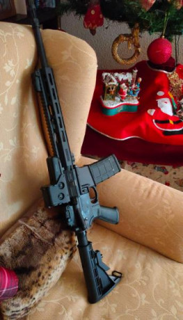 Hola, Alguien ha probado el Ruger 556 en 300 Blackout. Sobre todo que tal el disparador y como se comporta 31