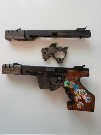 Vendo mi Walther GSP Expert con cañón del 22Lr y 32wc.
La tengo desde el 2014 creo recordar, usada y tratada 20