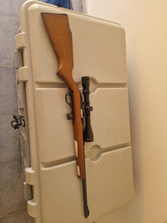 Me ofrecen una carabina marlin semiautomática modelo 70 con visor en 200€. Que tal el IMG-20250830-WA0015.jpg 00