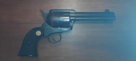 PONGO A LA VENTA ESTE MAGNIFICO REVOLVER SIMPLE ACTION CALIBRE 22 LR, DE 19 TIROS

Revólver CGIAPPAS FIREARMS 12