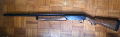 Vendo Browning Gold calibre 12, chokes intercambiables, solo tiene el de ****, buen estado estético, mecánico 01