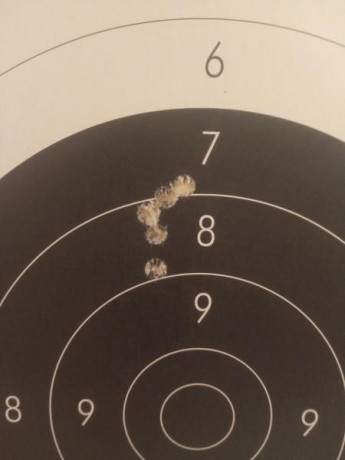 ¿Nos animamos a mostrar blancos de nuestros rifles de caza habituales? Con la munición que habitualmente 110