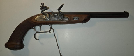 Pedersoli Lepage chispa cb45.
Pistola impecable tanto estético como funcional,por las fotos podréis ver 11