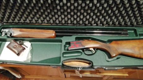 LAURONA 92 IMPECABLE!!
Cañón de 74 cm,
1 gatillo,
Expulsora,
Selectiva,
Cañón con polichock,
5 boquillas,
Incluye 10