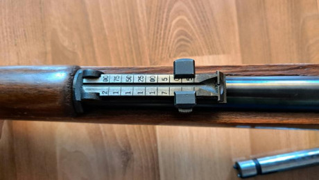 Carabina Frankonia en calibre 22 lr
Ha disasparado poquisimo.no creo que llegue a 100 cartuchos.
La madera 31