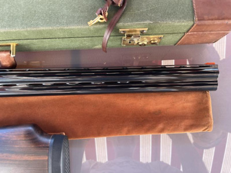 Buenas.

Un compañero vende su Kemen KM-4 Trap. Tiene cañón de 76 cm y choques fijos de 2 y 1 estrellas.

El 11