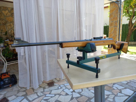 Hola a todos, solamente deseo compartir con vosotros está carabina, cuyas serie comenzaría su andadura 01