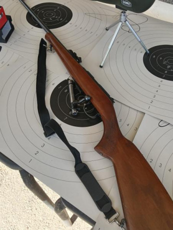 Buenas tardes. Un compañero y amigo del club de tiro vende, por problemas de visión, su carabina cz. Es 02