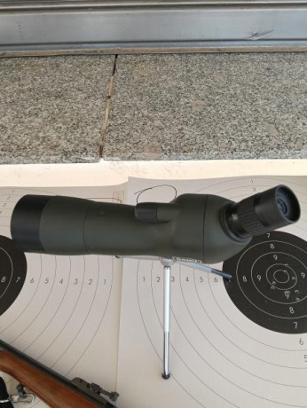 Buenas tardes. Un compañero y amigo del club de tiro vende, por problemas de visión, su carabina cz. Es 01