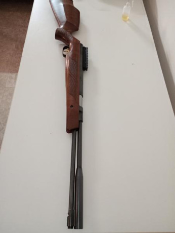 En excelente estado, con kit TBT instalado, va muy muy fina y es muy precisa, el gatillo es una pasada. 02