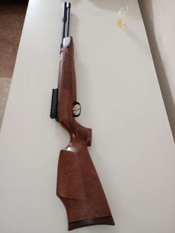 En excelente estado, con kit TBT instalado, va muy muy fina y es muy precisa, el gatillo es una pasada. 01
