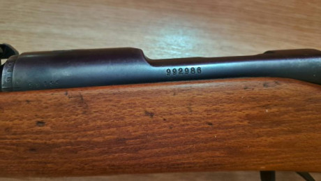 Vendo este rifle  Schmidt Rubin k31en perfecto estado.
Se encuentra en Madrid
Calibre 7,5 por 55


Mensaje 41