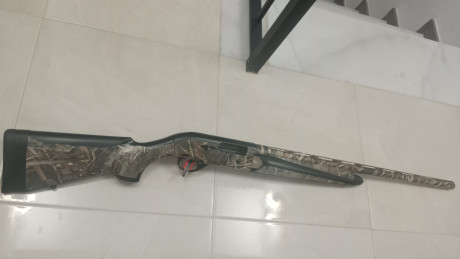 Hola a todos ,me presento ,mi nombre es Francisco soy de Córdoba,tengo una semiautomática Beretta 300 00