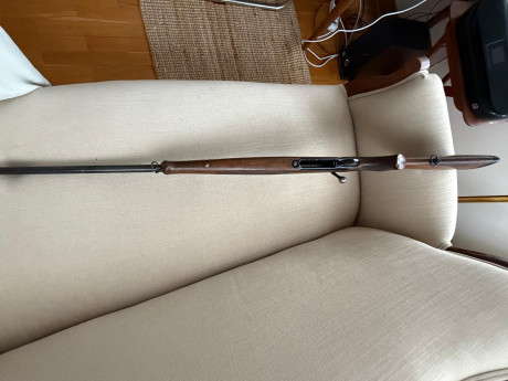 Un amigo vende tu rifle Sauer 202 en calibre 7mm Remington Magnum con bases apel incluidas.

El rifle 00