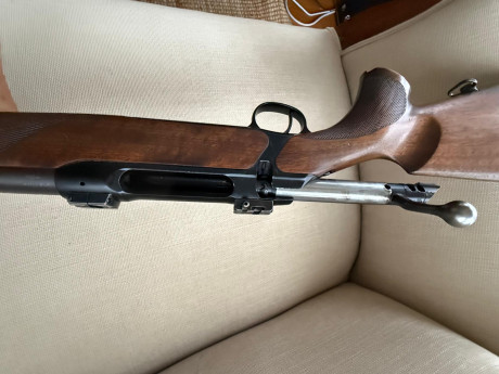 Un amigo vende tu rifle Sauer 202 en calibre 7mm Remington Magnum con bases apel incluidas.

El rifle 12