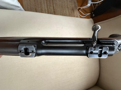 Un amigo vende tu rifle Sauer 202 en calibre 7mm Remington Magnum con bases apel incluidas.

El rifle 11