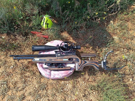 Pongo a la venta mi carabina de field target. Es una Air Arms FTP900. Es calibre 4,5 y con potencia de 02