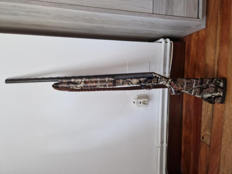 Buenas, por edad dejo las becadas y pongo a la venta la escopeta que me ha acompañado estos últimos años. 01