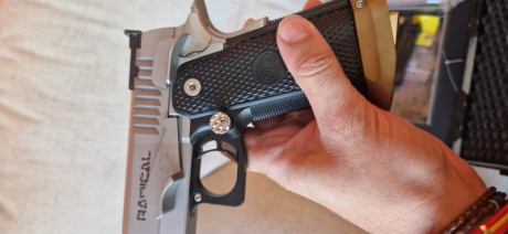 Estado totalmente nueva, no la he usado nunca (solo los disparos de prueba que realizo la armería), es 11