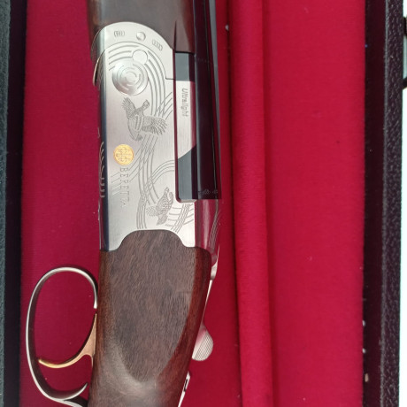 Buenos días,
Un compañero de afición vende su Beretta Ultraligth del 12 , cañon de 71cm, con maletin, 02