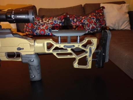 Se vende CZ600 MDT DEEP BRONZE del calibre 308 
Se incluye:
-Visor kahles 624i 
-Monturas Sphur de 20 00