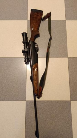 Hola, VENDIDO mi unico Semiautomático es un:

 BENELLI ARGO Cal 300wm
Cañón de 61cm
Visor de batida Dalls 00